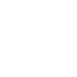 Zilingo